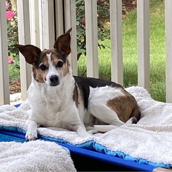 Meet your Posher, CathyBunny - Picture 13 of 16